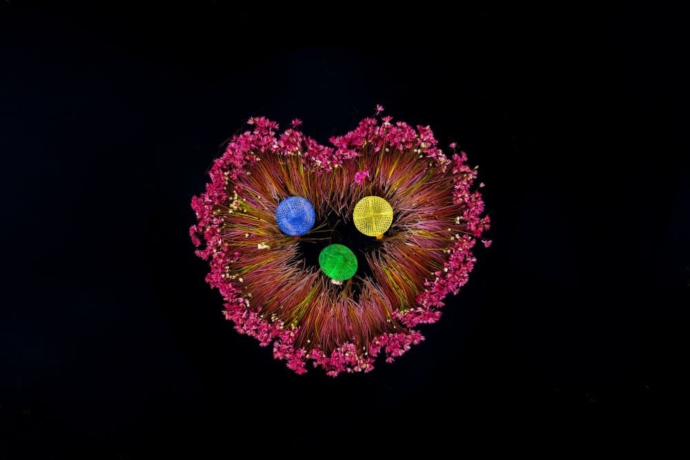 Vibrant Floral Heart by Tanvir — canvas wall art