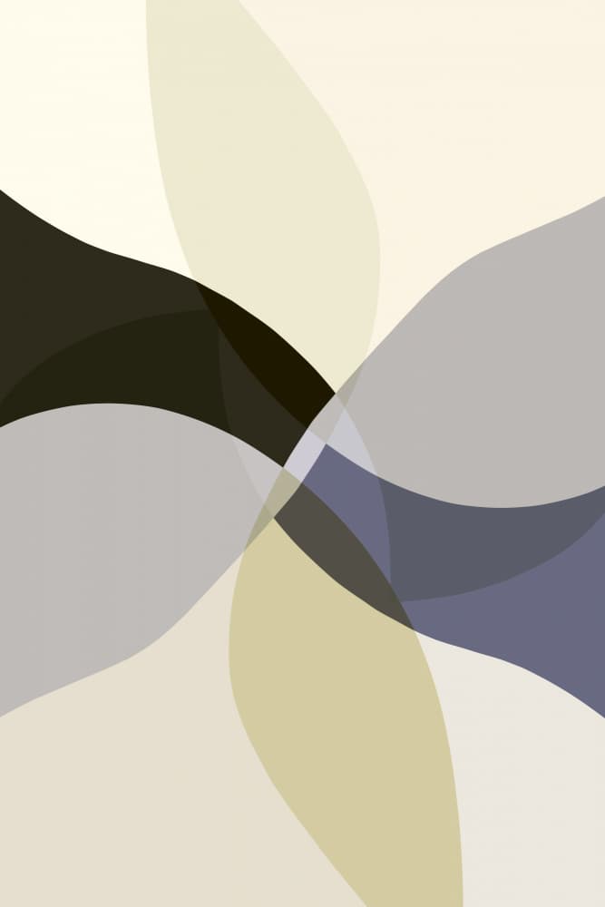 Soft Flowing Forms by cartissi — canvas wall art