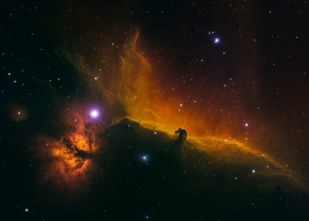 Glowing Horsehead Nebula by Ken Fong — canvas wall art
