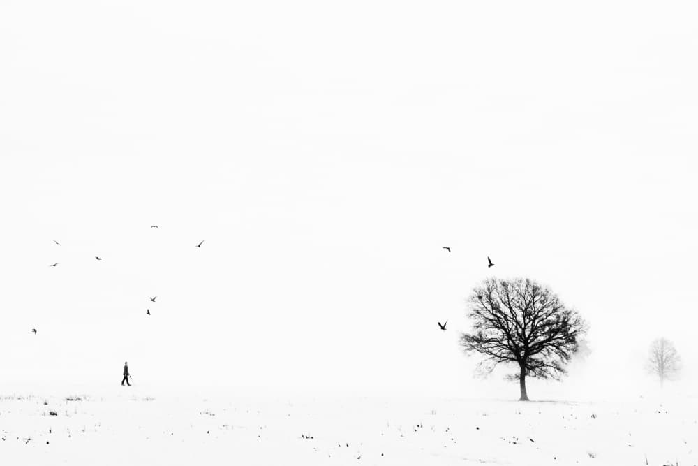 Lone Winter Walk by Eric Drigny — canvas wall art