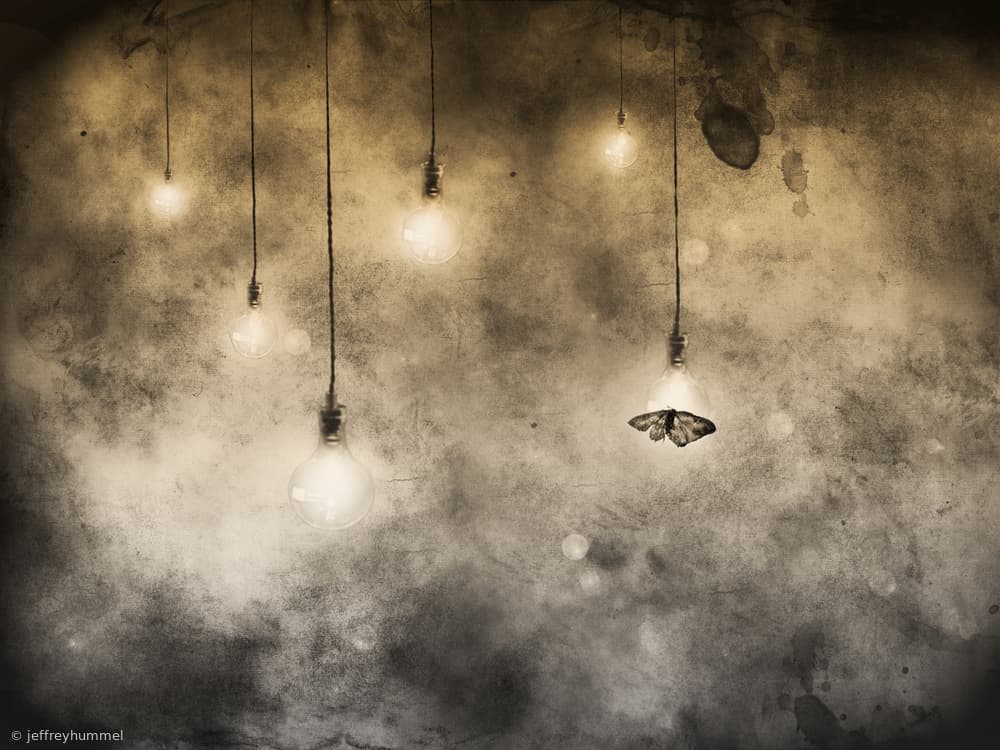 Moth And Glowing Bulbs by Jeffrey Hummel — canvas wall art