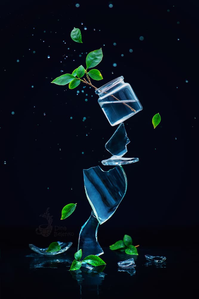 Delicate Green Balance by Dina Belenko — canvas wall art