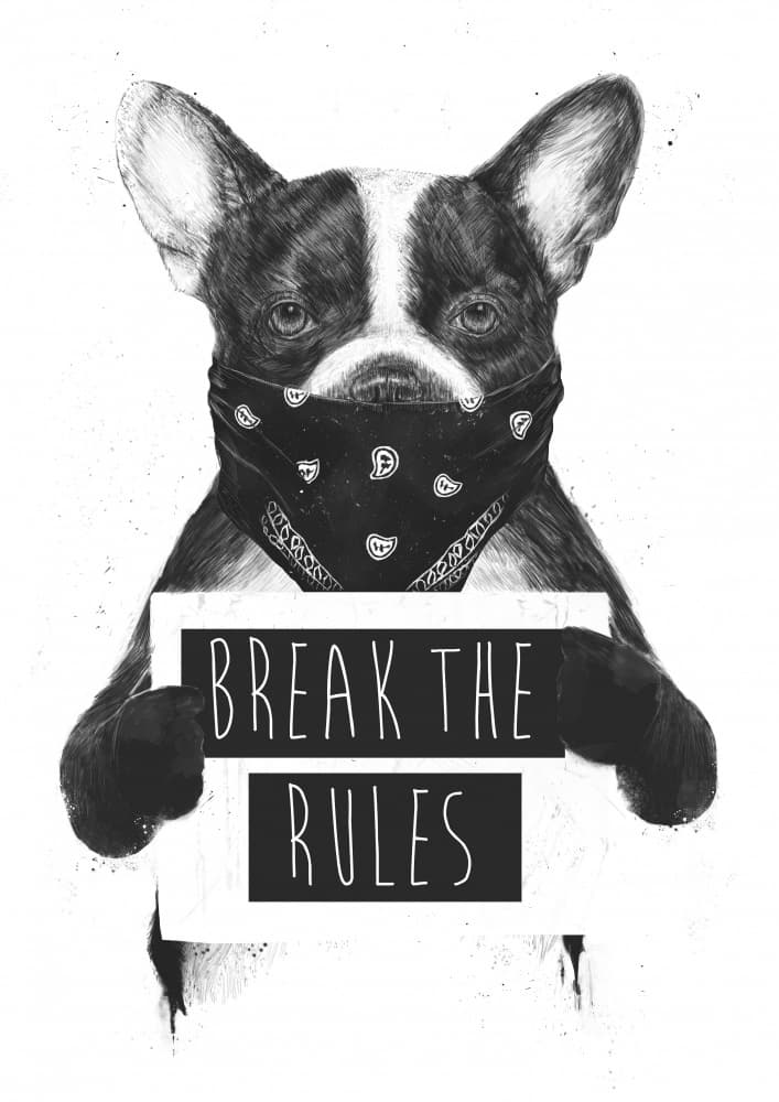Rebel French Bulldog by Balazs Solti — canvas wall art