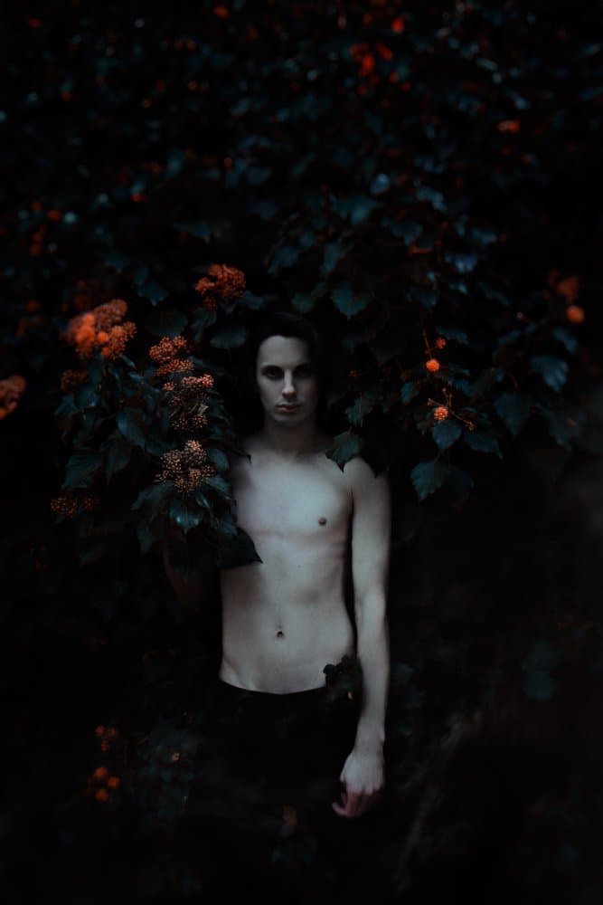 Dark Forest Portrait by Moreno — canvas wall art