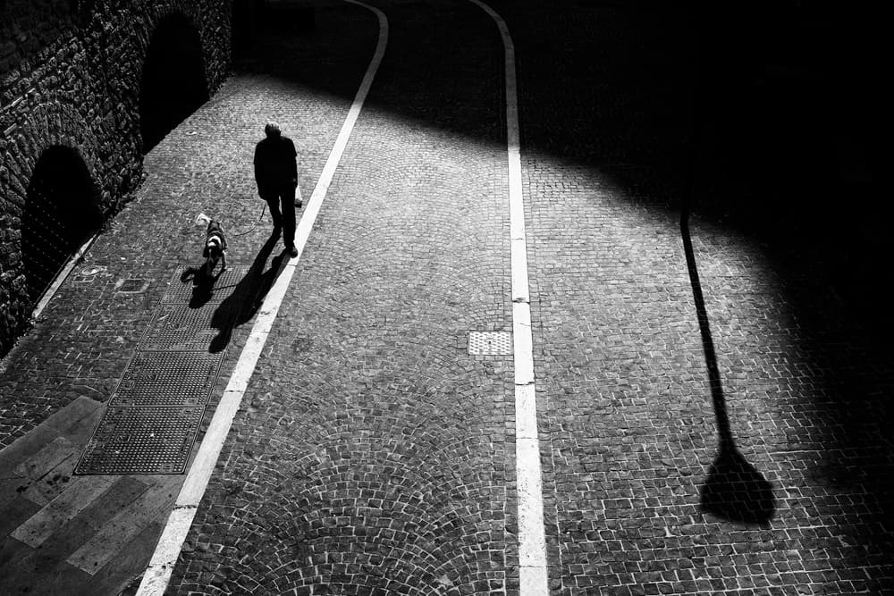 Night Walk With Dog by Riccardo Lucidi — canvas wall art
