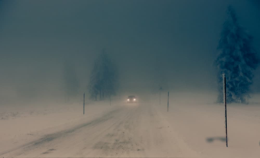 Foggy Winter Drive by Stephanie Kleimann — canvas wall art