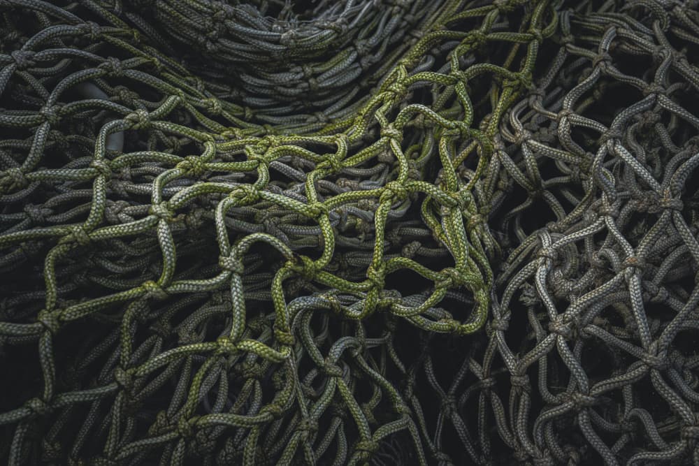 Intricate Net Weave by Ytje Veenstra — canvas wall art