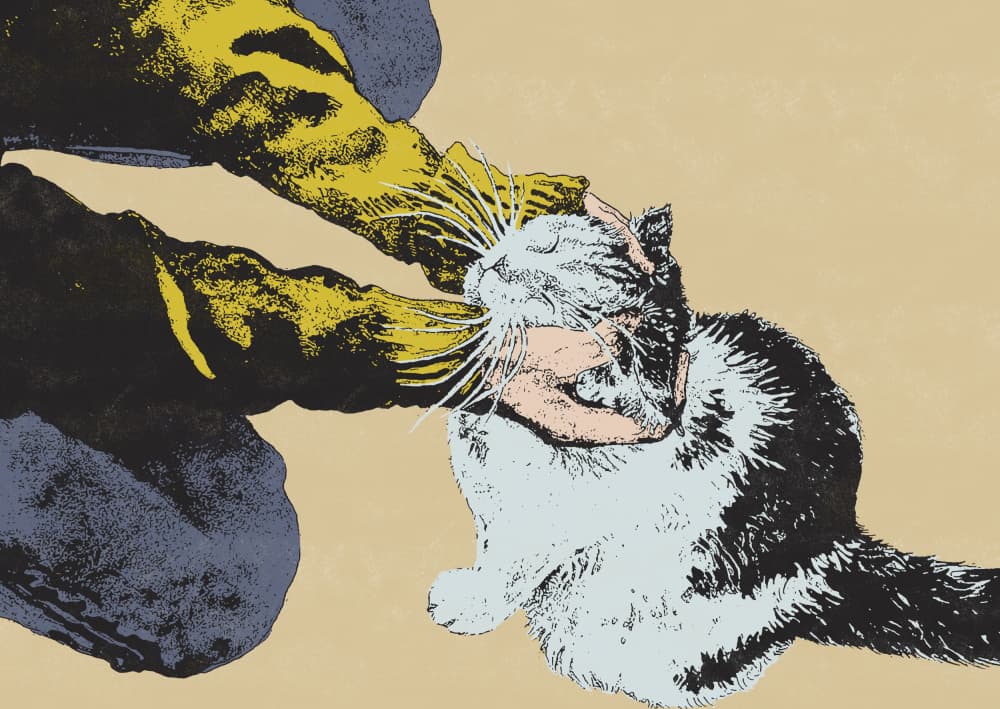 Petting A Happy Cat by Katariina Kosunen — canvas wall art