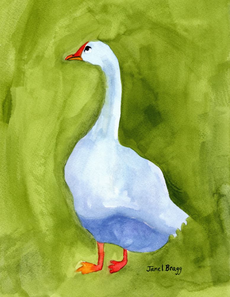 Elegant White Goose by Janel Bragg — canvas wall art