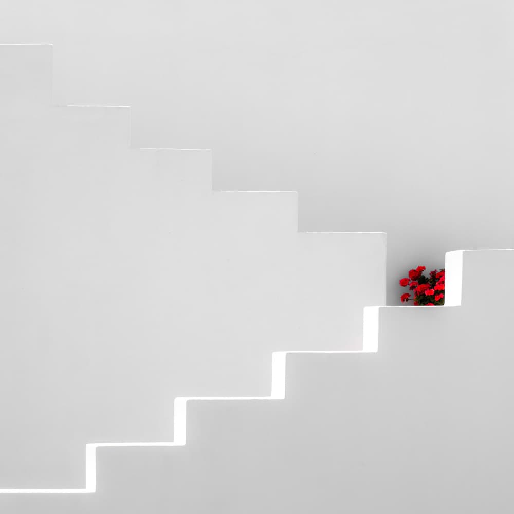 White Steps Red Flowers by Markus Auerbach — canvas wall art