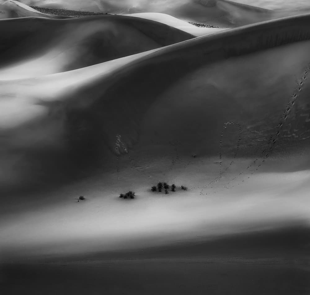 Desert Shadows and Light by Yvette Depaepe — canvas wall art