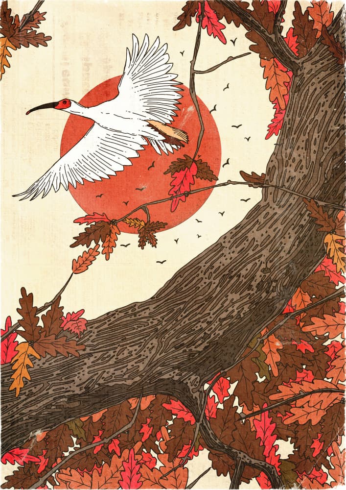 Crimson Sun Autumn Flight by Nicholas — canvas wall art