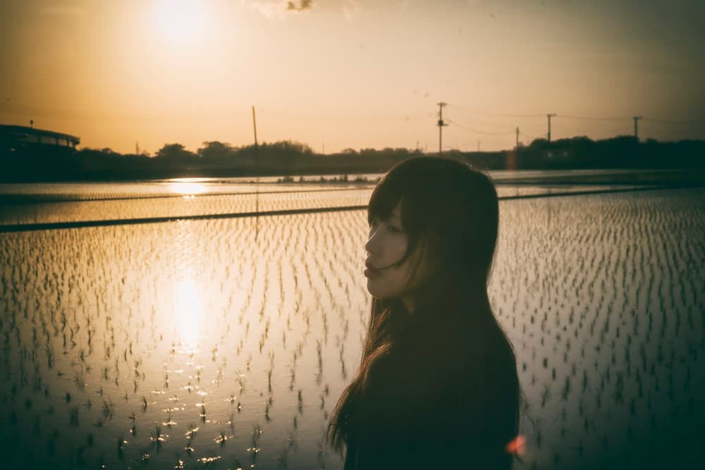 Golden Hour Rice Field Woman by 7 Flavor C/P — canvas wall art