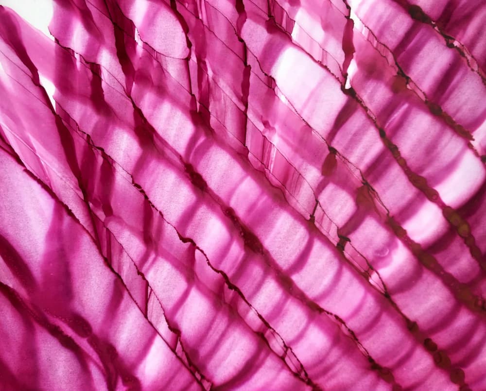 Magenta Flowing Lines by Tara Mann — canvas wall art