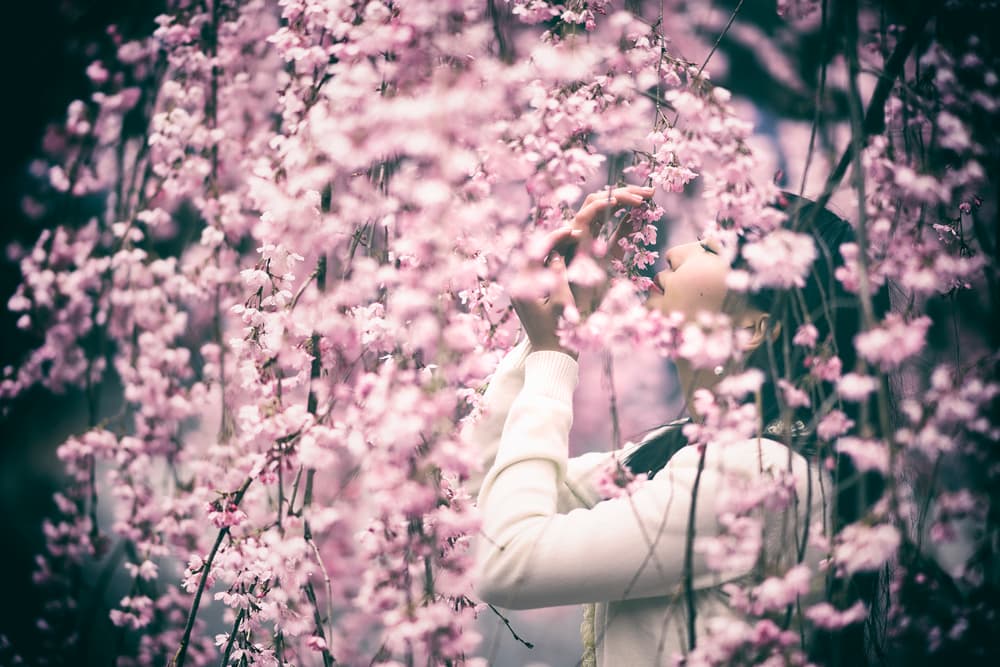 Spring Blossom Woman by 7 Flavor C/P — canvas wall art
