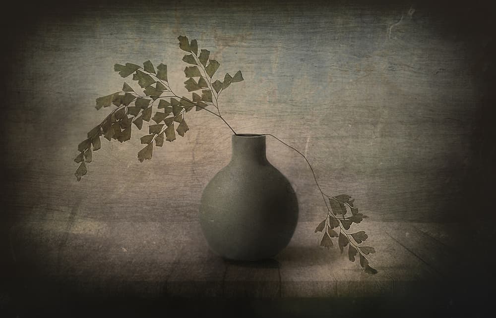 Quiet Fern Still Life by Elena Arjona — canvas wall art