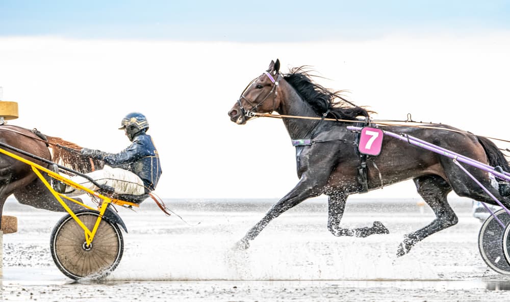 Splashing Horse Race by Holger Schmidtke — canvas wall art