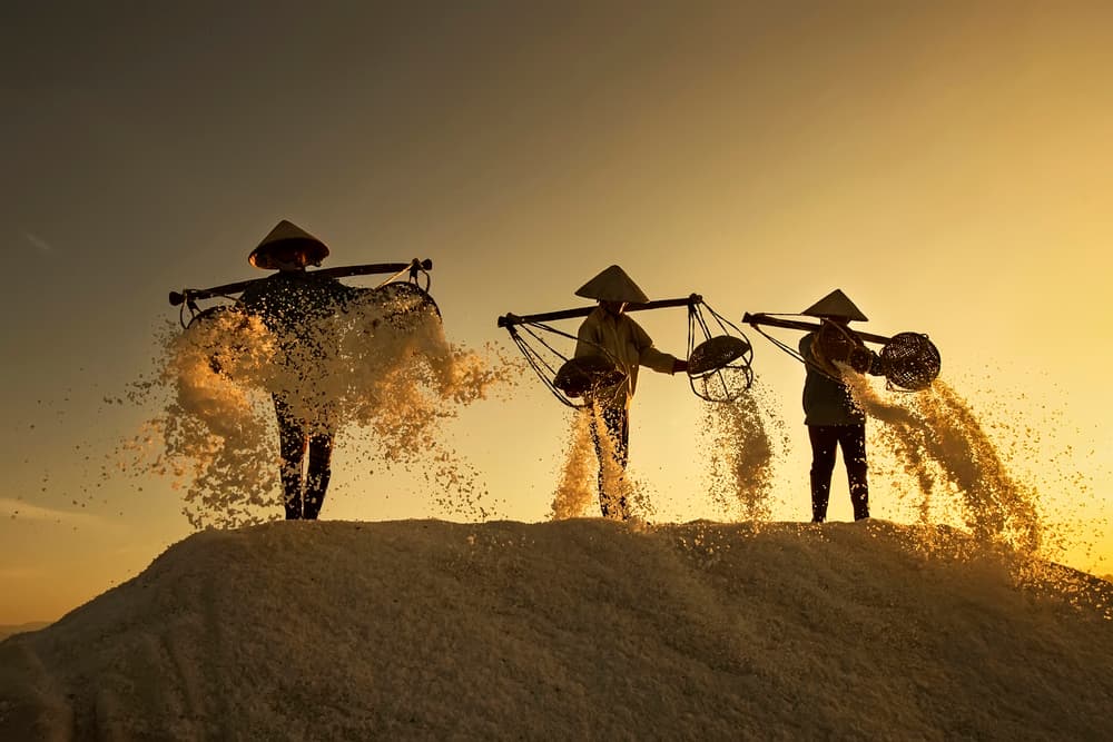 Salt Farmers Golden Harvest by Nese Ari — canvas wall art