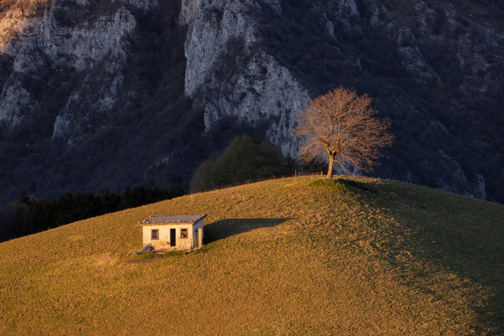 Golden Hour Cabin by Dorian Gray — canvas wall art