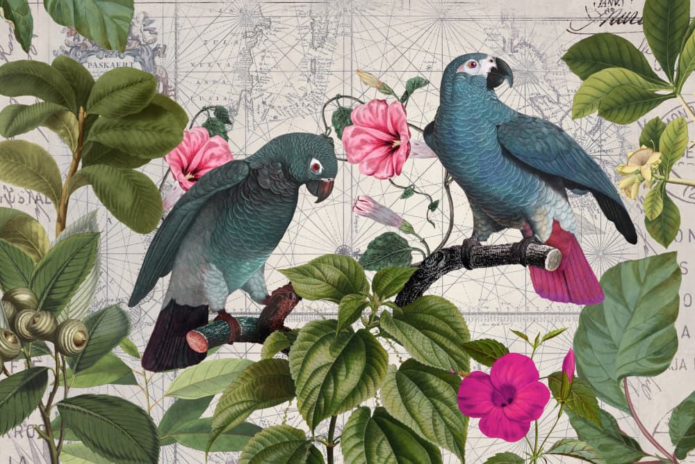 Blue Parrots Tropical Map by Andrea Haase — canvas wall art
