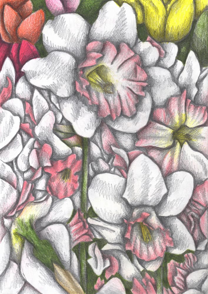 Vibrant Garden Blooms by Cecilia Battaini — canvas wall art