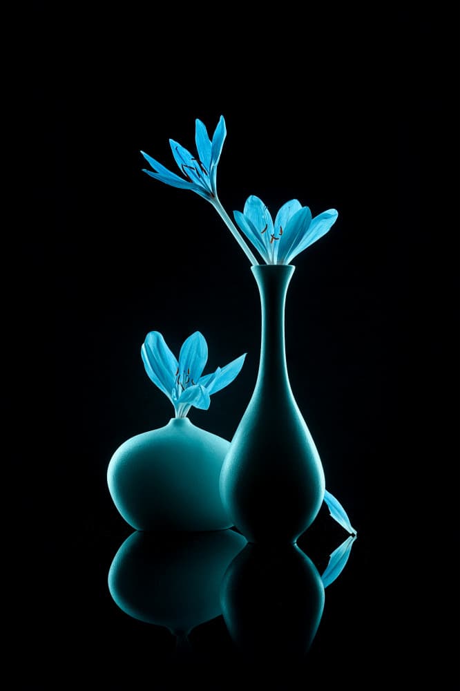 Luminous Blue Still Life by Lydia Jacobs — canvas wall art