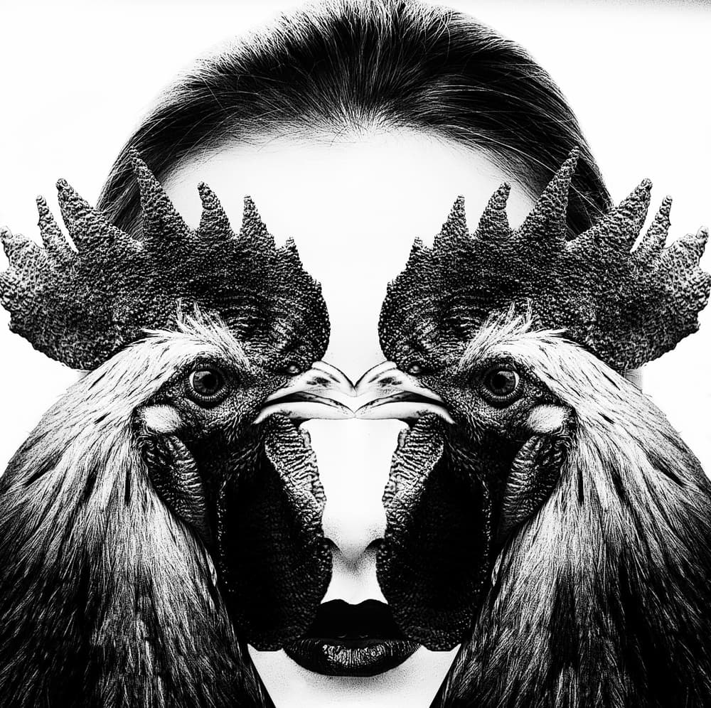 Surreal Rooster Woman by Stefan Eisele — canvas wall art