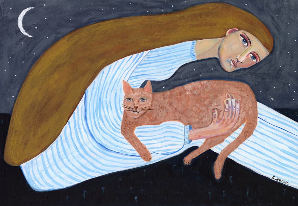 Cozy Night With Cat by Sharyn Bursic — canvas wall art