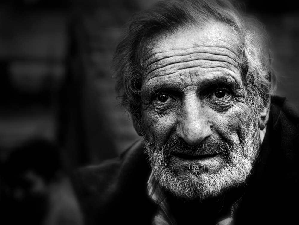 Wisdom In His Gaze by Garik — canvas wall art