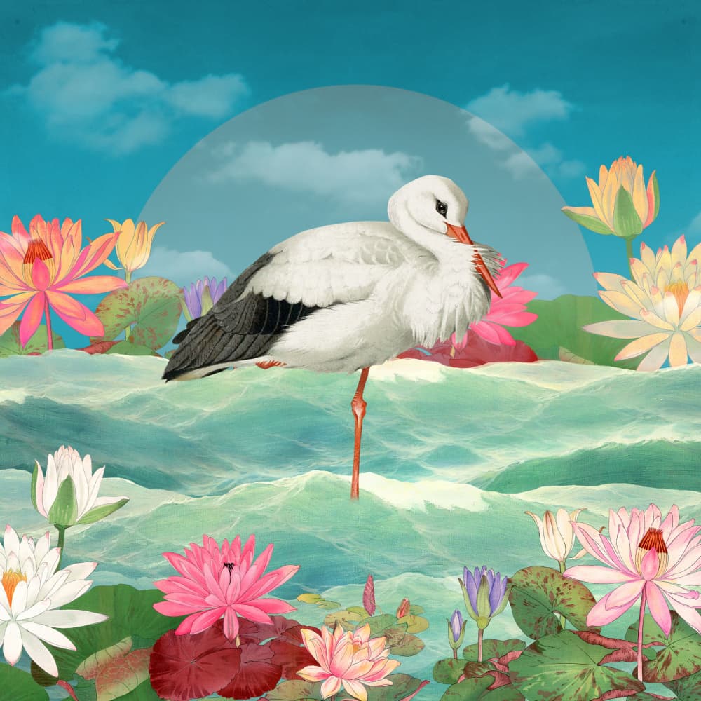 White Stork Water Lilies by Marja van den Hurk — canvas wall art