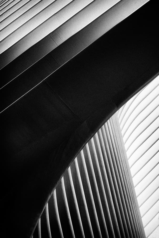 Abstract Architectural Curves by Christopher Budny — canvas wall art