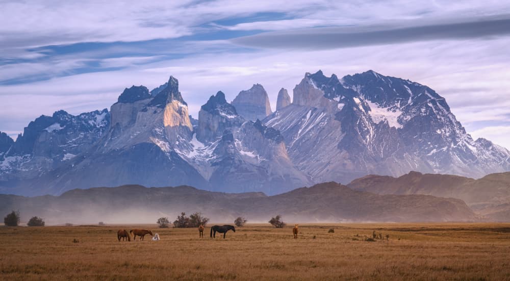 Patagonia Mountain Horses by Antoni Figueras — canvas wall art