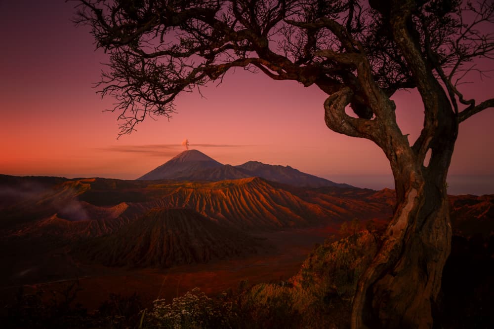 Volcanic Peak at Dawn by Jack Ou — canvas wall art