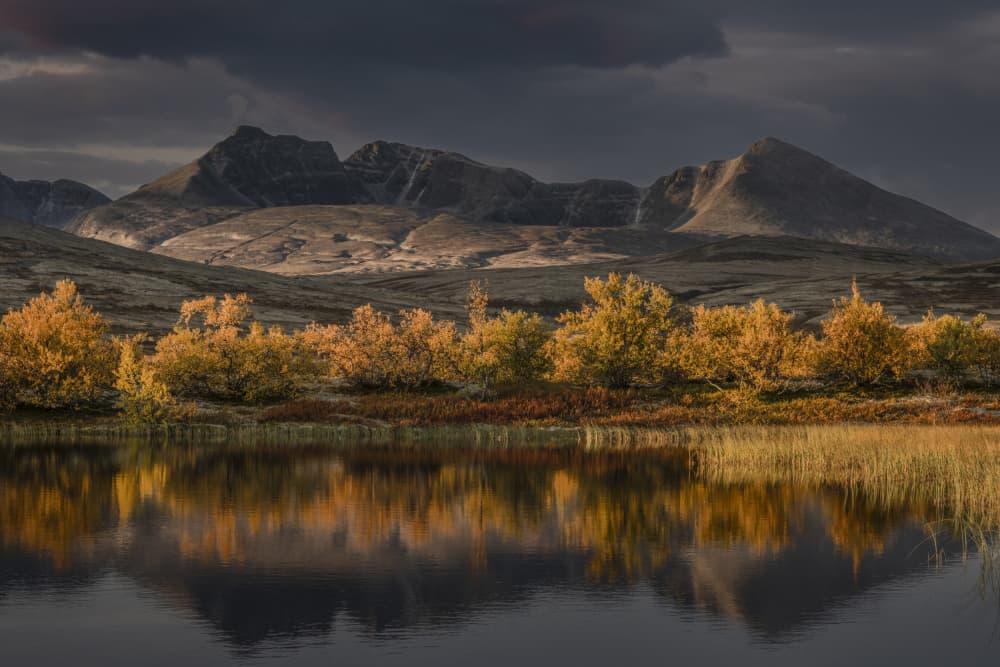 Golden Autumn Mountain Lake by Nina Pauli — canvas wall art
