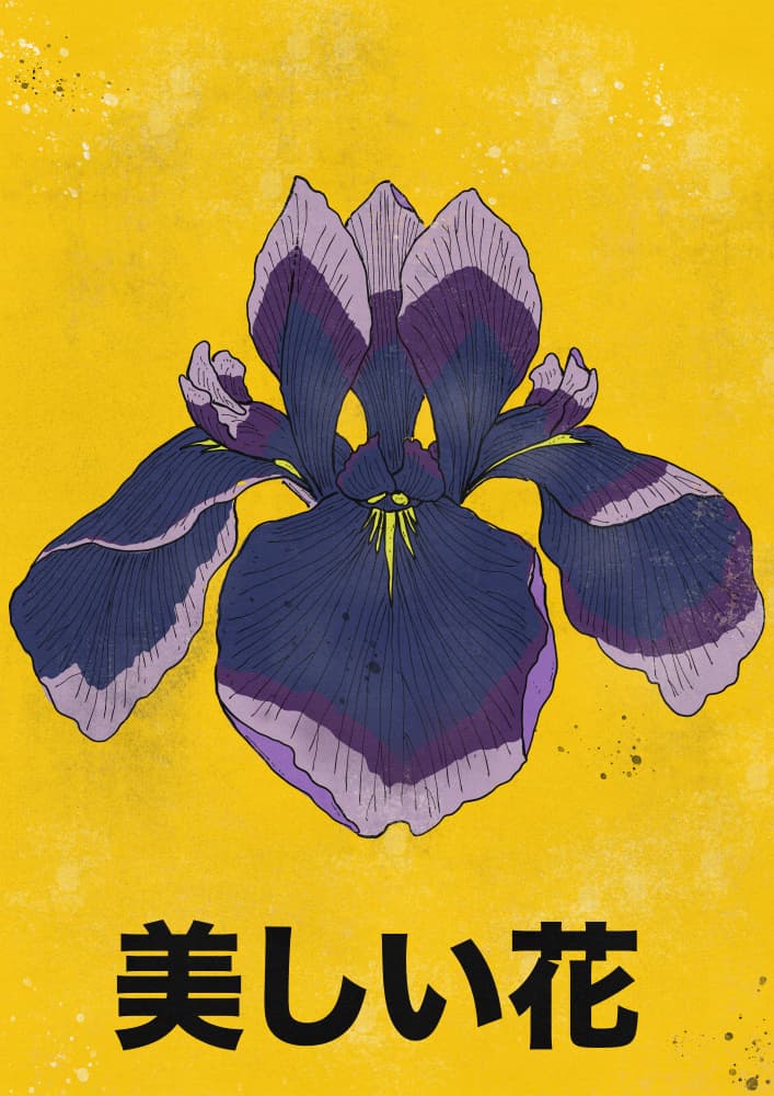 Beautiful Japanese Iris by Nicholas — canvas wall art