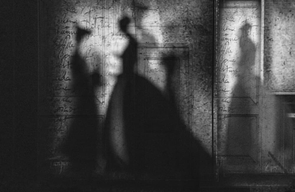 Ghostly Vintage Silhouettes by Rachel Pansky — canvas wall art