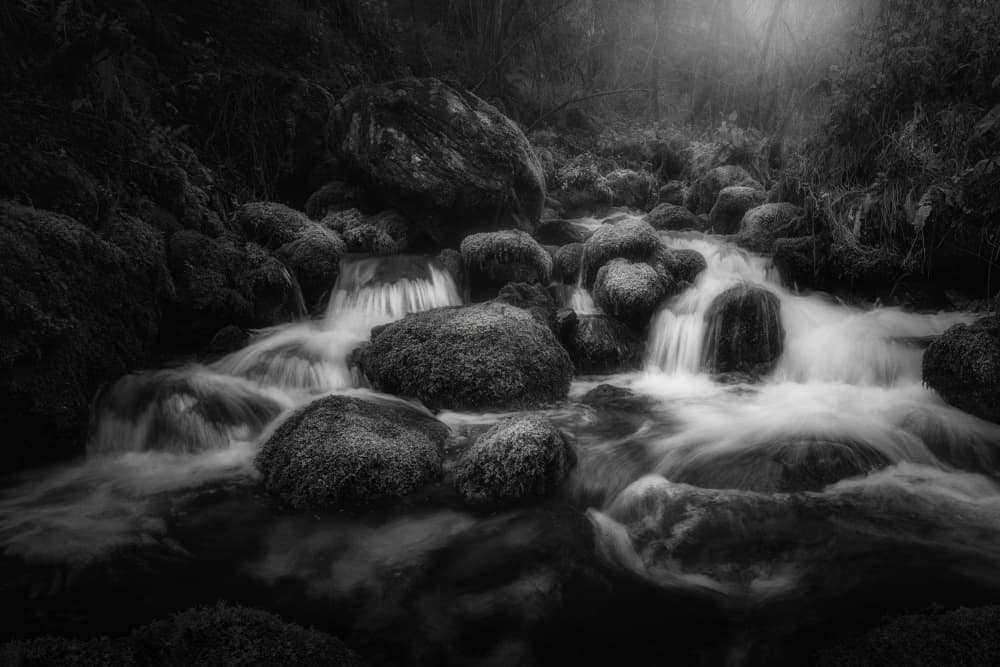 Misty Forest Stream Flow by Thomas de Franzoni — canvas wall art