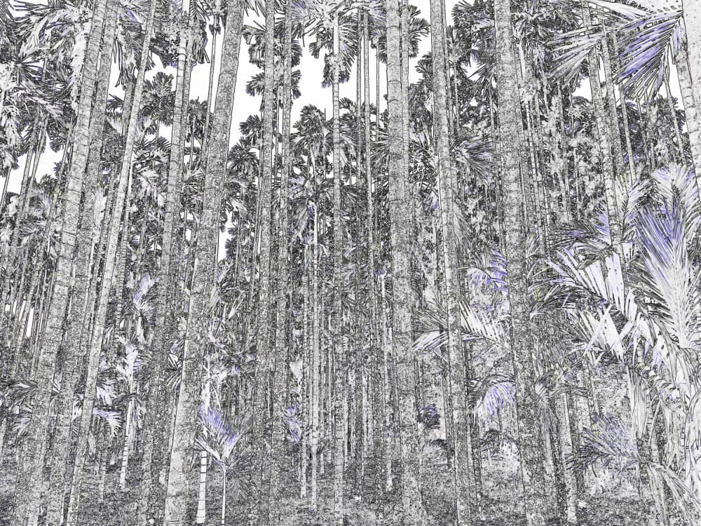 Vertical Palm Forest by Santhosh ch — canvas wall art