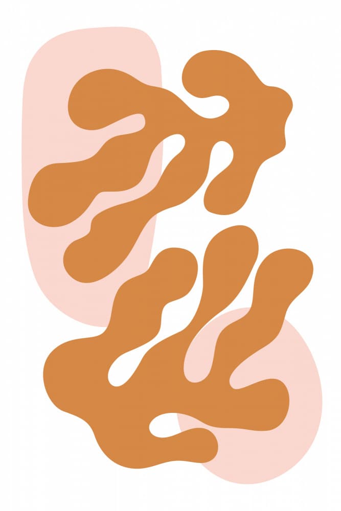 Warm Organic Shapes by jay stanley — canvas wall art