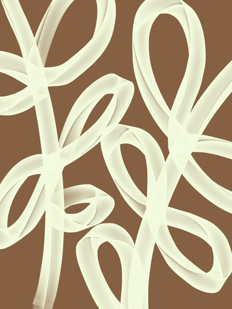 Elegant Abstract Loops by Studio Palette — canvas wall art