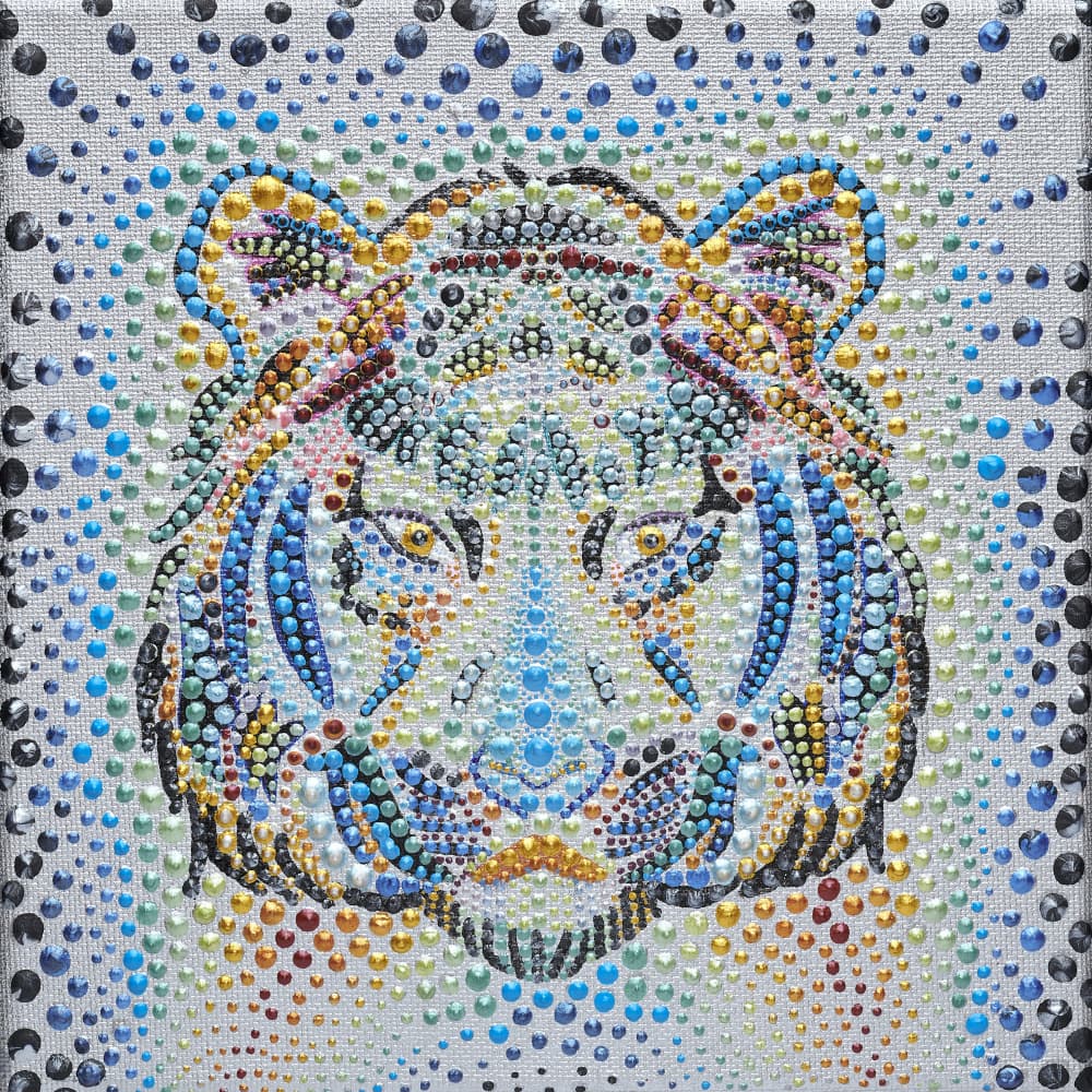Tiger Face Composed of Multicolored Rhinestones
