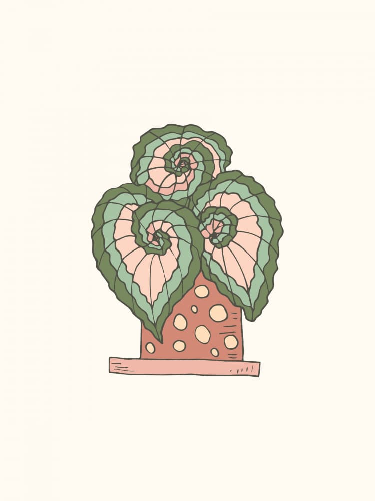 Whimsical Potted Plant by Olena Kovalova — canvas wall art