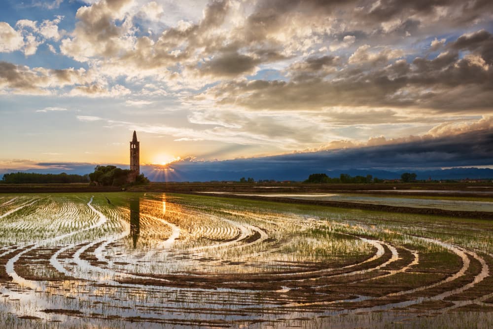 Golden Field Sunset Tower by Marco Galimberti — canvas wall art