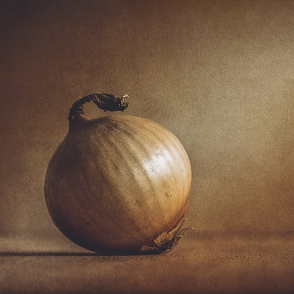 Golden Onion Still Life by Kristina Zvinakeviciute — canvas wall art