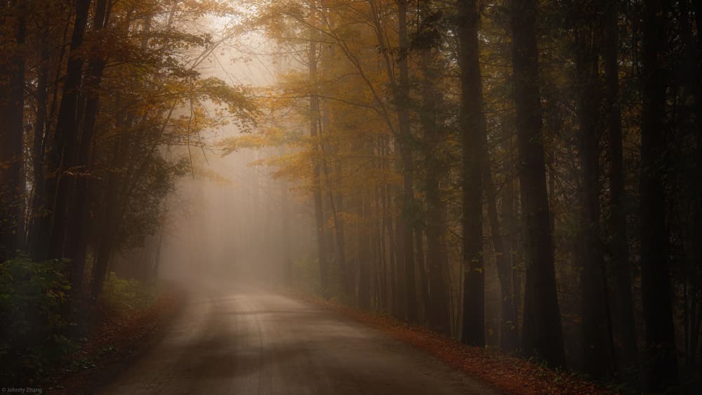 Misty Autumn Road by Johnny Zhang — canvas wall art