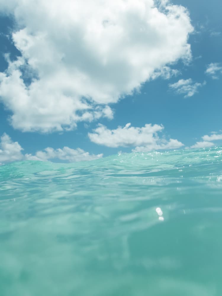 Blue Sky Turquoise Sea by Bethany Young — canvas wall art