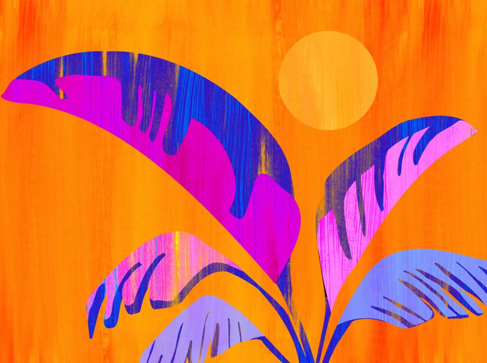 Banana Tree Wide by Kristian Gallagher — canvas wall art