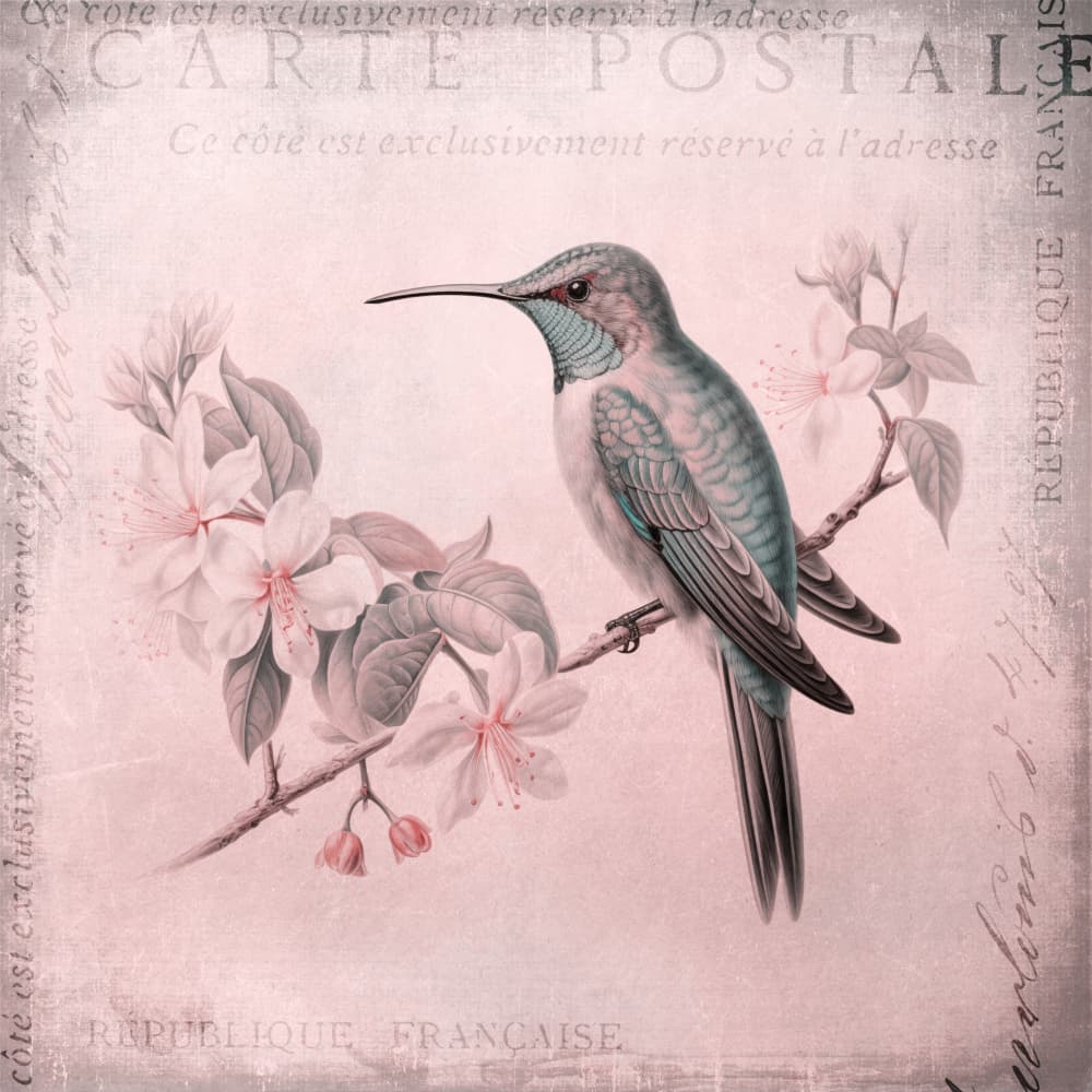 Vintage Hummingbird Blossom by Andrea Haase — canvas wall art