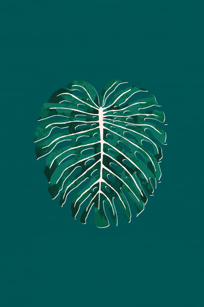 Vibrant Monstera Leaf by Karen Menzenbach — canvas wall art