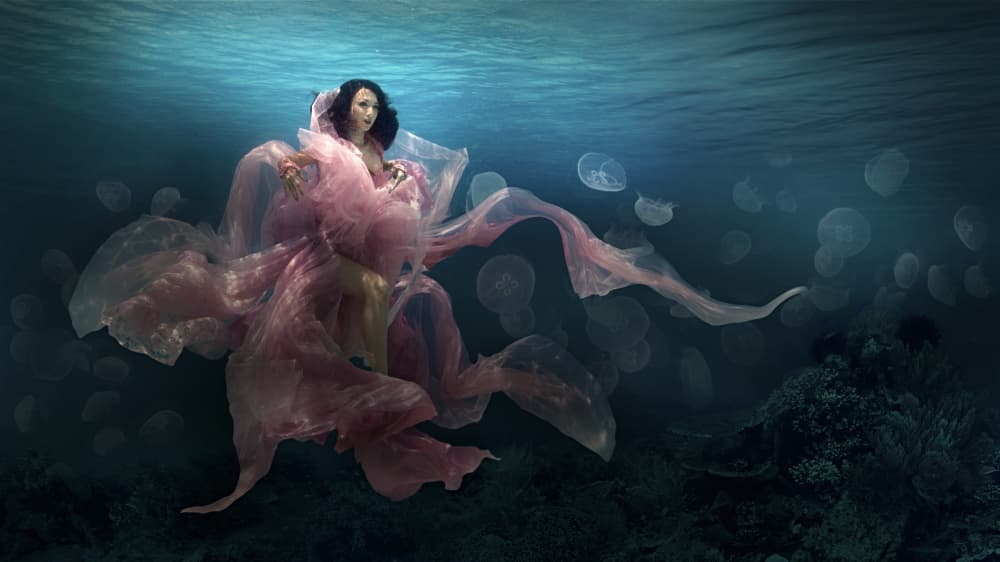 Pink Dress Ocean Dream by Martha Suherman — canvas wall art